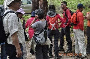 صور من مختلف الألبومات